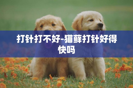 打針打不好-貓蘚打針好得快嗎