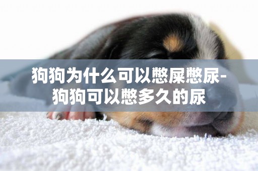 狗狗為什么可以憋屎憋尿-狗狗可以憋多久的尿