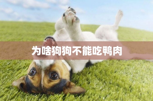 為啥狗狗不能吃鴨肉