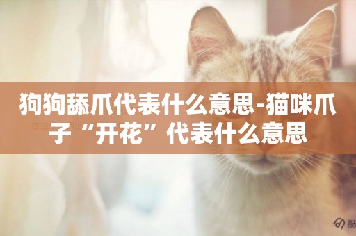 狗狗舔爪代表什么意思-貓咪爪子“開花”代表什么意思