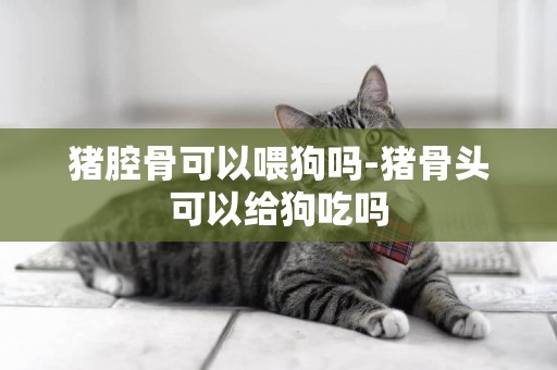 豬腔骨可以喂狗嗎-豬骨頭可以給狗吃嗎