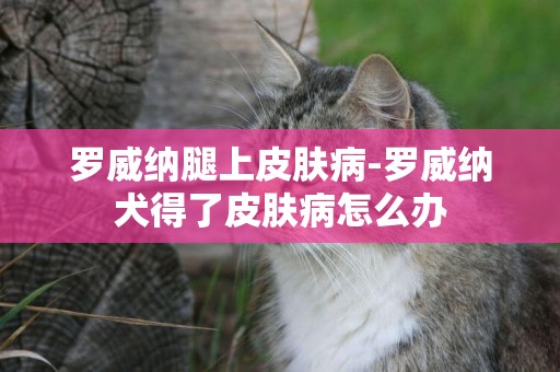羅威納腿上皮膚病-羅威納犬得了皮膚病怎么辦