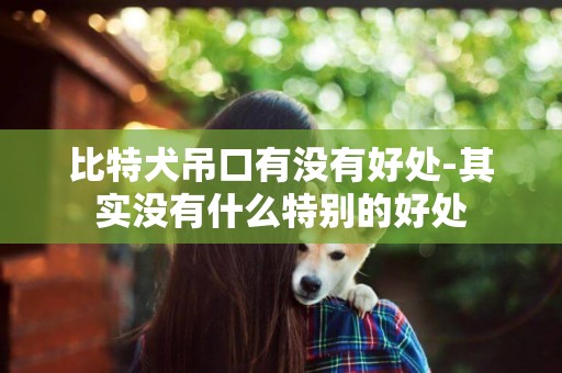 比特犬吊口有沒有好處-其實沒有什么特別的好處
