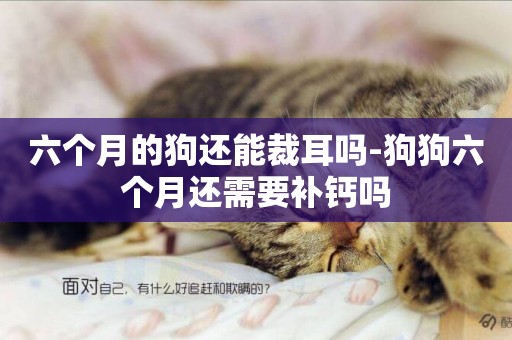 六個月的狗還能裁耳嗎-狗狗六個月還需要補鈣嗎