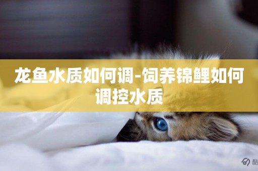 龍魚水質如何調-飼養錦鯉如何調控水質