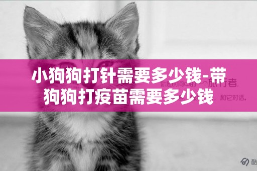 小狗狗打針需要多少錢-帶狗狗打疫苗需要多少錢