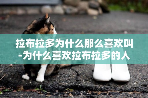 拉布拉多為什么那么喜歡叫-為什么喜歡拉布拉多的人只增不減
