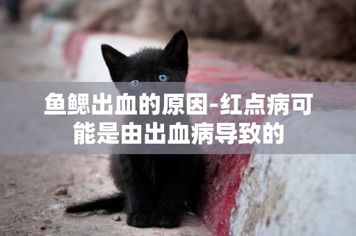 魚鰓出血的原因-紅點病可能是由出血病導致的