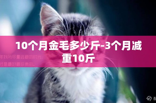 10個月金毛多少斤-3個月減重10斤