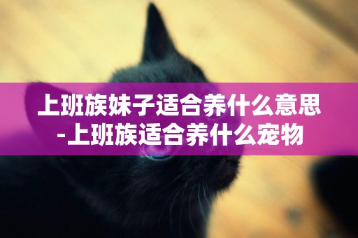 上班族妹子適合養什么意思-上班族適合養什么寵物