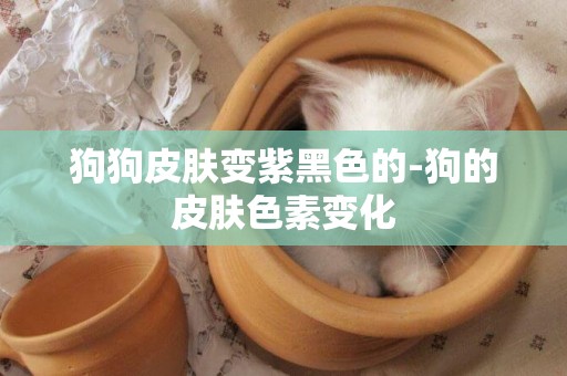 狗狗皮膚變紫黑色的-狗的皮膚色素變化