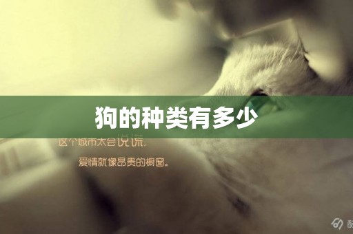 狗的種類有多少