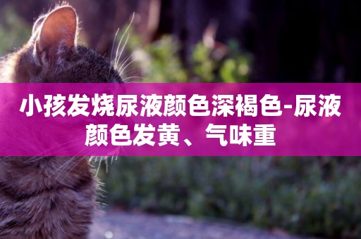 小孩發燒尿液顏色深褐色-尿液顏色發黃、氣味重