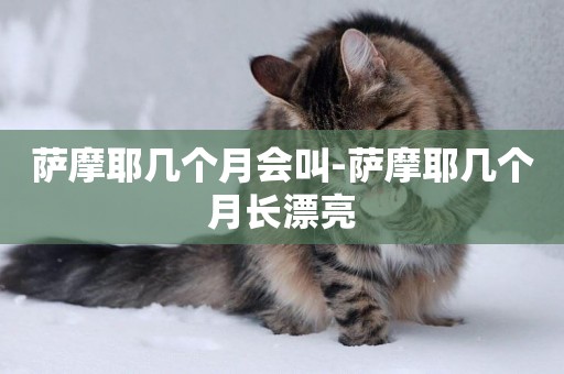 薩摩耶幾個月會叫-薩摩耶幾個月長漂亮