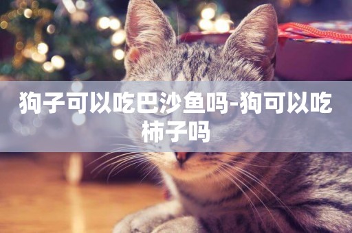 狗子可以吃巴沙魚嗎-狗可以吃柿子嗎