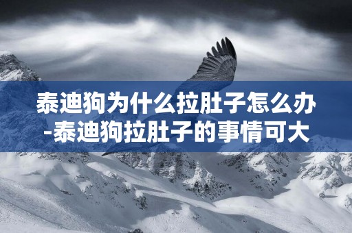 泰迪狗為什么拉肚子怎么辦-泰迪狗拉肚子的事情可大可小