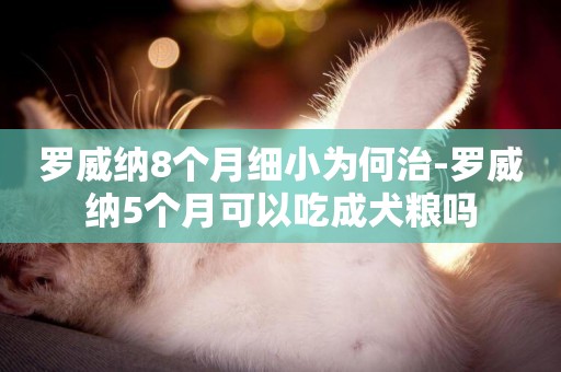 羅威納8個月細小為何治-羅威納5個月可以吃成犬糧嗎