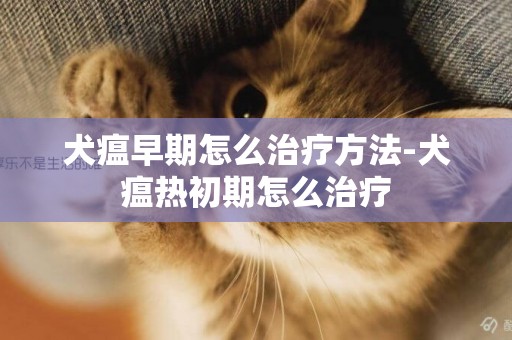 犬瘟早期怎么治療方法-犬瘟熱初期怎么治療