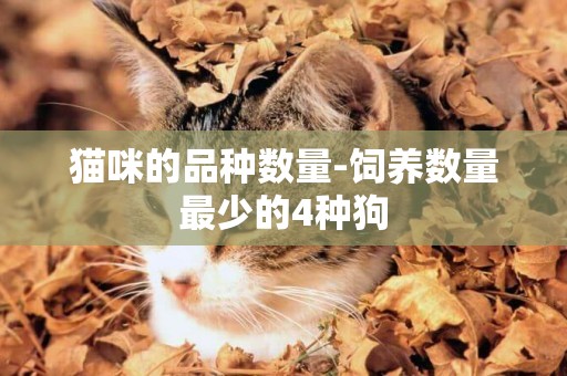 貓咪的品種數量-飼養數量最少的4種狗