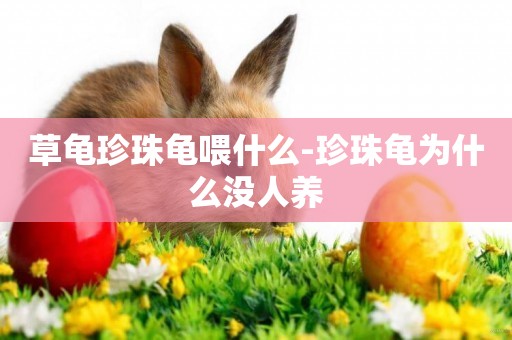 草龜珍珠龜喂什么-珍珠龜為什么沒人養