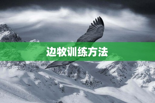 邊牧訓練方法