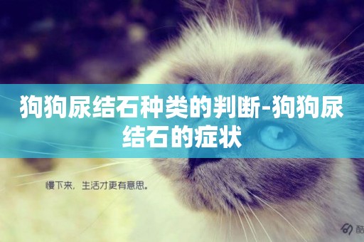 狗狗尿結石種類的判斷-狗狗尿結石的癥狀