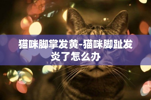 貓咪腳掌發黃-貓咪腳趾發炎了怎么辦