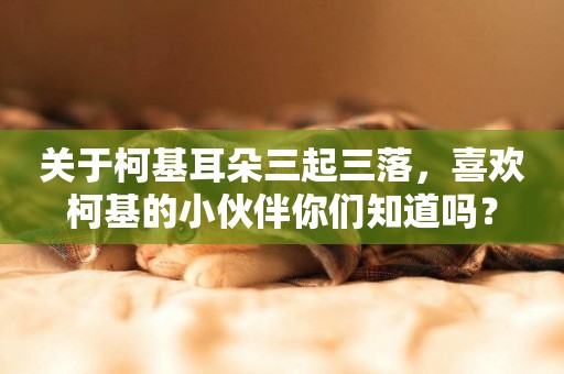 關于柯基耳朵三起三落，喜歡柯基的小伙伴你們知道嗎？