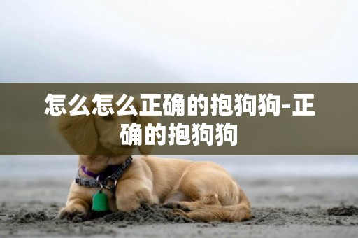 怎么怎么正確的抱狗狗-正確的抱狗狗