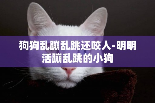 狗狗亂蹦亂跳還咬人-明明活蹦亂跳的小狗