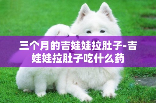 三個月的吉娃娃拉肚子-吉娃娃拉肚子吃什么藥