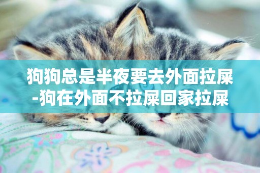 狗狗總是半夜要去外面拉屎-狗在外面不拉屎回家拉屎