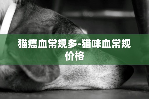 貓瘟血常規多-貓咪血常規價格