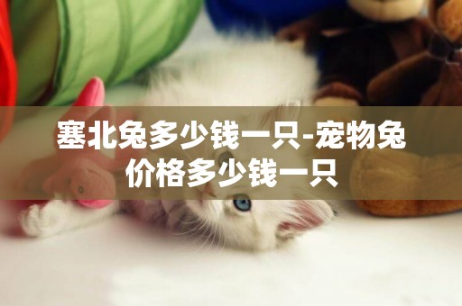 塞北兔多少錢一只-寵物兔價格多少錢一只