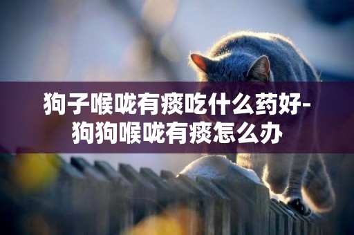 狗子喉嚨有痰吃什么藥好-狗狗喉嚨有痰怎么辦