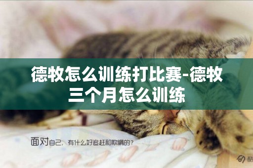 德牧怎么訓練打比賽-德牧三個月怎么訓練
