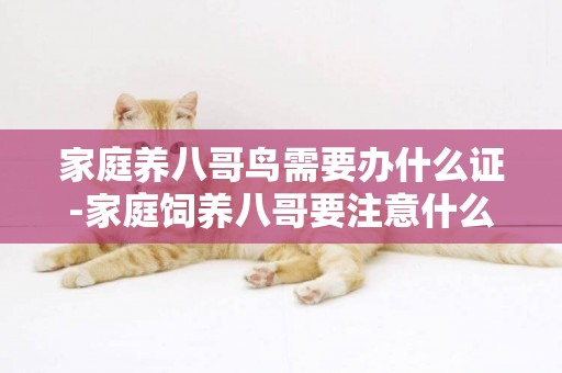 家庭養八哥鳥需要辦什么證-家庭飼養八哥要注意什么