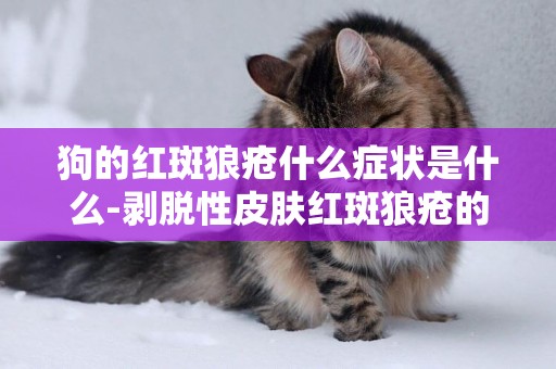 狗的紅斑狼瘡什么癥狀是什么-剝脫性皮膚紅斑狼瘡的臨床癥狀、診斷和治療方