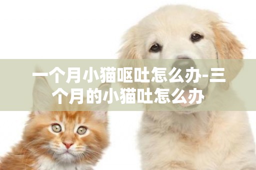 一個月小貓嘔吐怎么辦-三個月的小貓吐怎么辦
