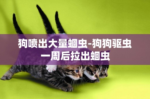 狗噴出大量蛔蟲-狗狗驅蟲一周后拉出蛔蟲