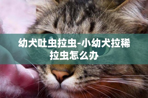 幼犬吐蟲拉蟲-小幼犬拉稀拉蟲怎么辦