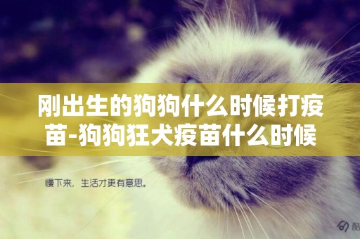 剛出生的狗狗什么時候打疫苗-狗狗狂犬疫苗什么時候打
