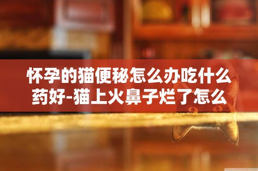 懷孕的貓便秘怎么辦吃什么藥好-貓上火鼻子爛了怎么辦吃什么藥
