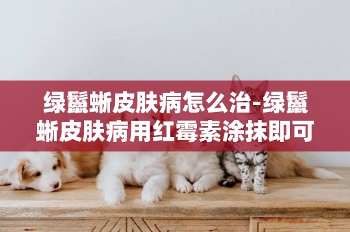 綠鬣蜥皮膚病怎么治-綠鬣蜥皮膚病用紅霉素涂抹即可