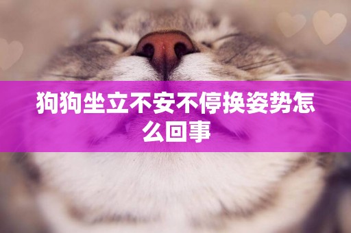 狗狗坐立不安不停換姿勢怎么回事