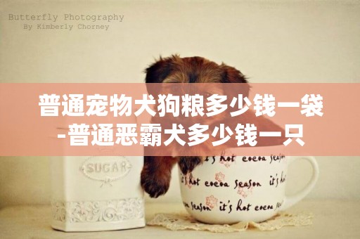 普通寵物犬狗糧多少錢一袋-普通惡霸犬多少錢一只