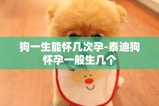 狗一生能懷幾次孕-泰迪狗懷孕一般生幾個