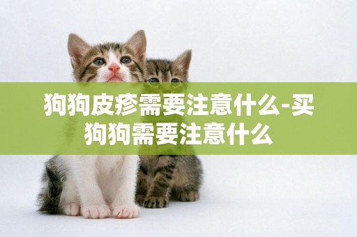 狗狗皮疹需要注意什么-買狗狗需要注意什么
