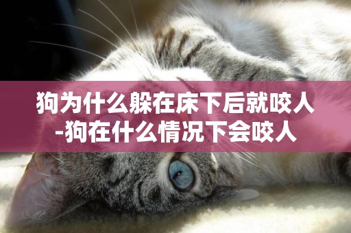 狗為什么躲在床下后就咬人-狗在什么情況下會咬人