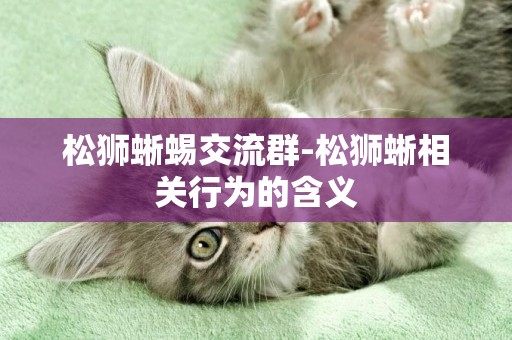 松獅蜥蜴交流群-松獅蜥相關行為的含義